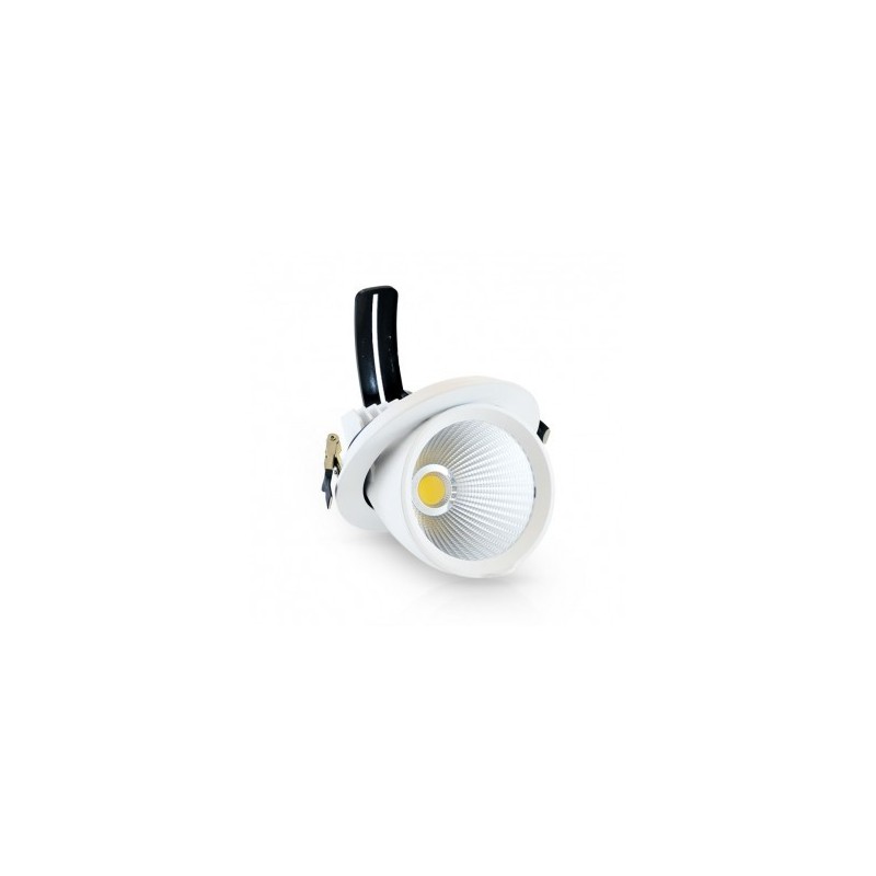 Spot LED escargot inclinable et orientable 10W 4000°K + alim. électronique VISION EL