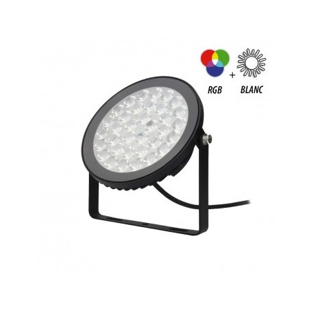 Projecteur extérieur LED 15W RGB+Blanc - Noir VISION EL