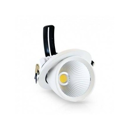 Spot LED escargot inclinable et orientable 30W 4000°K + alimentation VISION EL