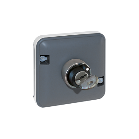 Interrupteur à clé étanche à encastrer - 2 positions - gris • MMEl