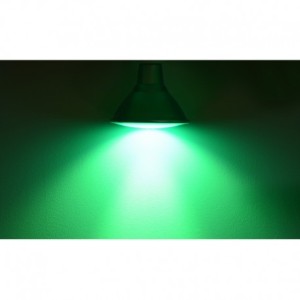 Ampoule LED E27 PAR38 16W vert VISION EL