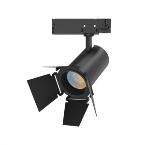 Accessoire coupe-flux - Noir - pour spots FOCUS CCT II Ø65mm - MIIDEX - 100300