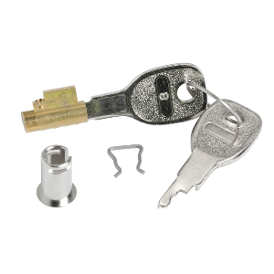 Serrure à clé - 2 clés métal livrées - tous les mini coffrets PRAGMA SCHNEIDER
